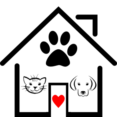 témoignages animaux de compagnie chats chients petsitter